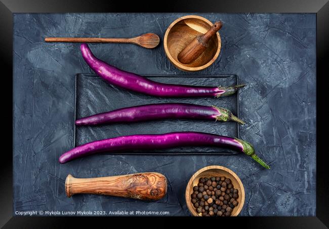 Fresh purple Asian eggplants Framed Print by Mykola Lunov Mykola