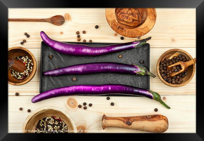 Small raw purple eggplants Framed Print by Mykola Lunov Mykola