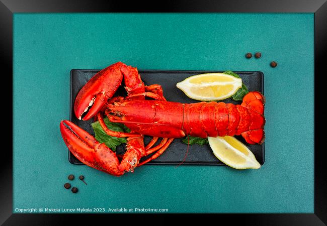 Delicious freshly boiled lobster Framed Print by Mykola Lunov Mykola