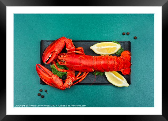 Delicious freshly boiled lobster Framed Mounted Print by Mykola Lunov Mykola