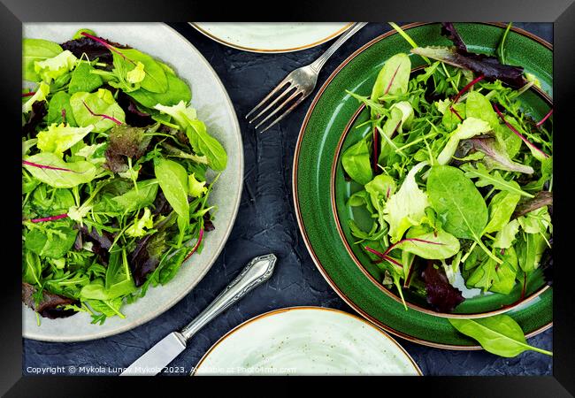 Greens raw salad, healthy eating. Framed Print by Mykola Lunov Mykola