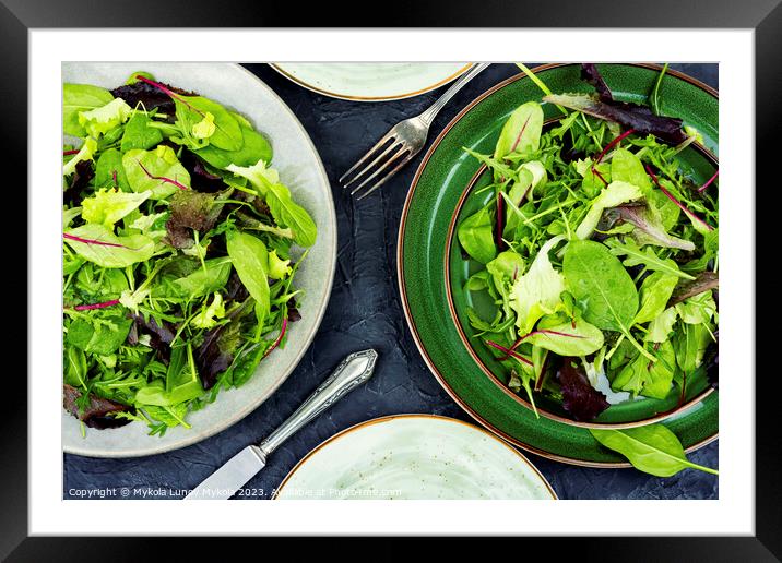 Greens raw salad, healthy eating. Framed Mounted Print by Mykola Lunov Mykola