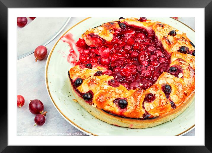 Open summer pie with berries. Framed Mounted Print by Mykola Lunov Mykola