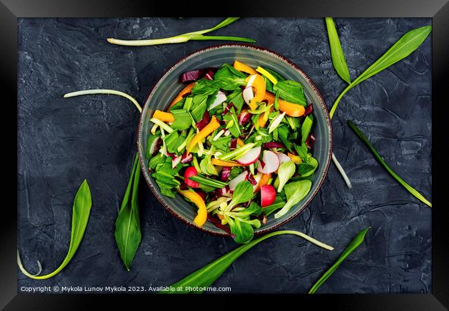 Green vegan salad Framed Print by Mykola Lunov Mykola