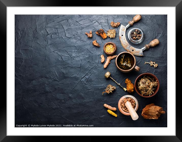 Tea and a set of medicinal herbs Framed Mounted Print by Mykola Lunov Mykola