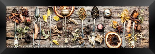 Healing herbs in teaspoons Framed Print by Mykola Lunov Mykola