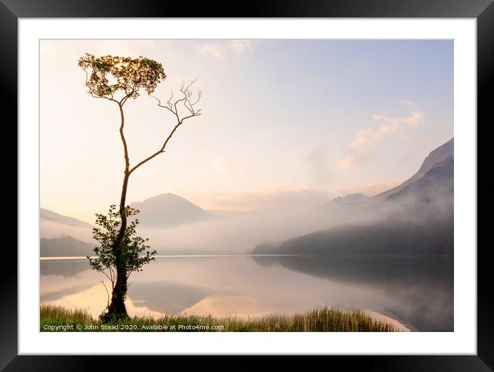 Buttermere lone tree with misty mountains, English Lake District UK Framed Mounted Print by Northern Wild