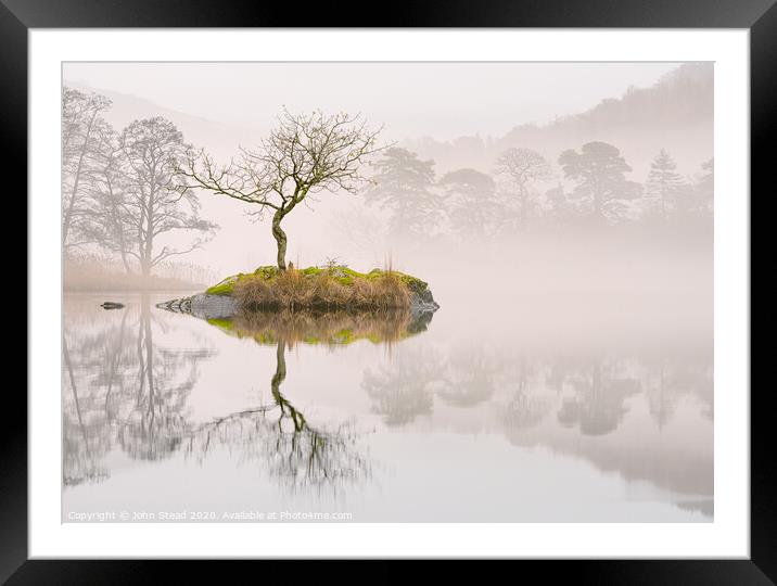 Rydal water lone tree island in the mist. English lake district UK Framed Mounted Print by Northern Wild