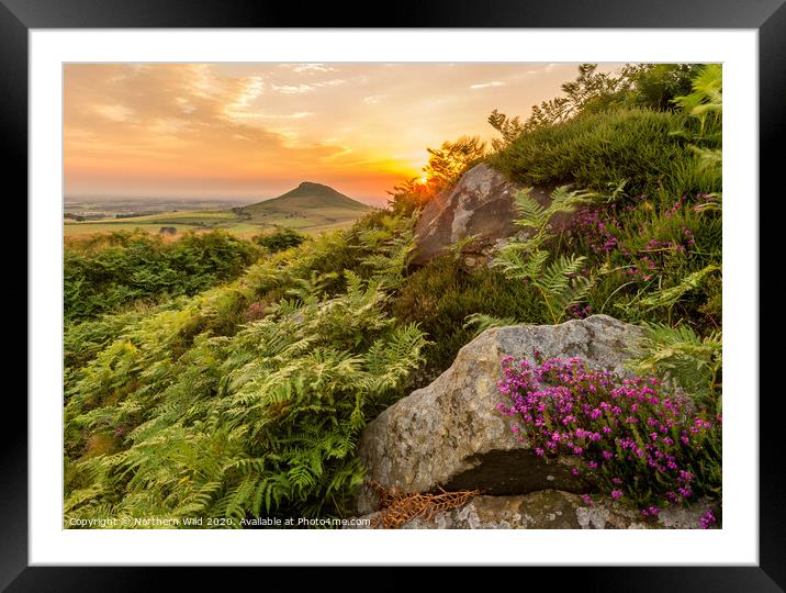 Roseberry Topping Heather Framed Mounted Print by Northern Wild
