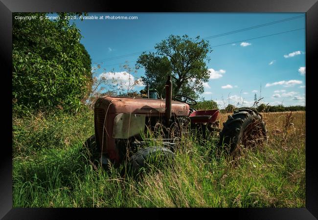 old vintage Massey Ferguson tractor  Framed Print by Zareen 