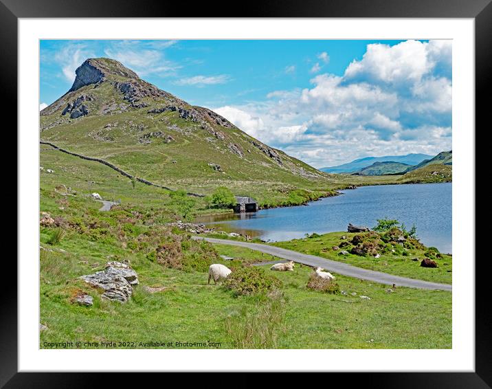Cregannan Lakes and Livestock Framed Mounted Print by chris hyde