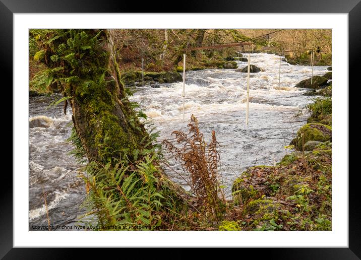 White Water Canoe Race Framed Mounted Print by chris hyde