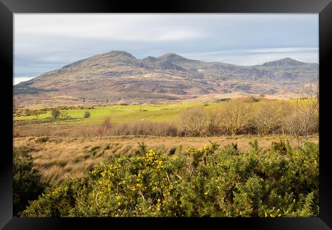 Welsh Mountains Framed Print by chris hyde