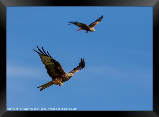 Two is Company Framed Print by Jason Vaughan