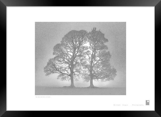 Twin Tree (Glen Fruin [Scotland]) Framed Print by Michael Angus