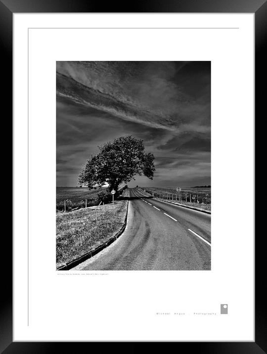 Solitary Tree (Hadrian’s Wall [Cumbria]) Framed Mounted Print by Michael Angus