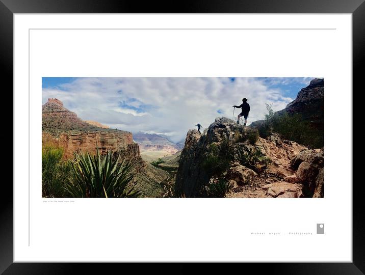 Stay or Go: Grand Canyon (USA) Framed Mounted Print by Michael Angus