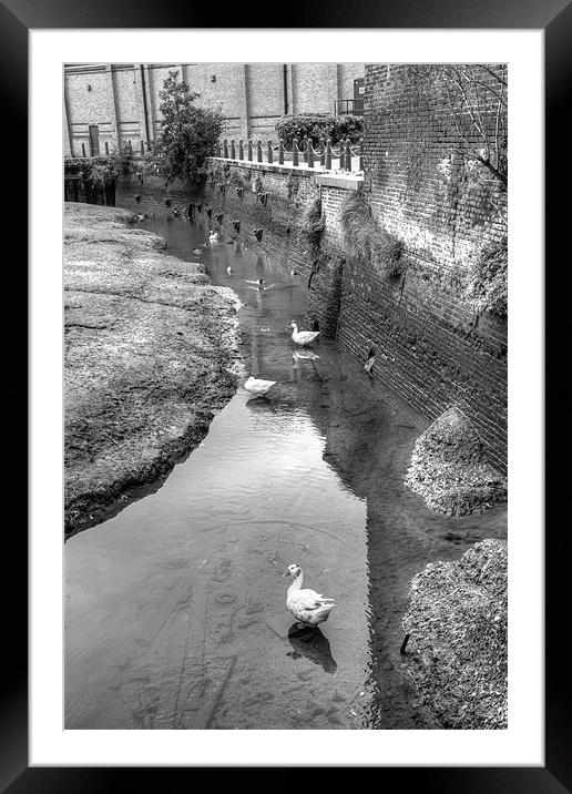 Faversham Creek Framed Mounted Print by David French