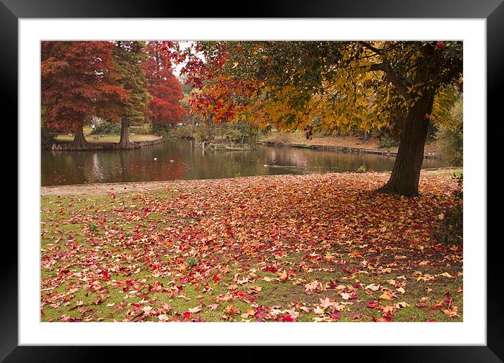 Valence Park  Autumnal Framed Mounted Print by David French