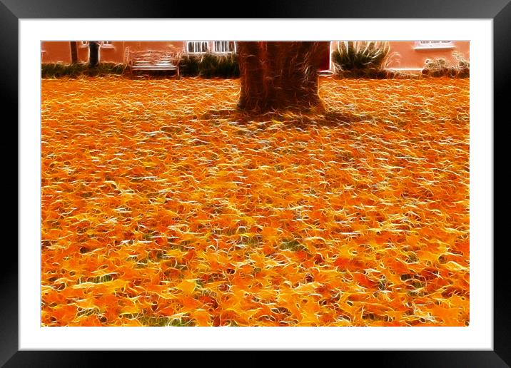 Autumn fractals leafs Framed Mounted Print by David French