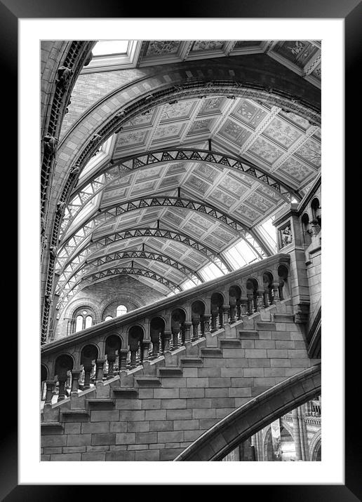 Natural History Museum Kensington Framed Mounted Print by David French
