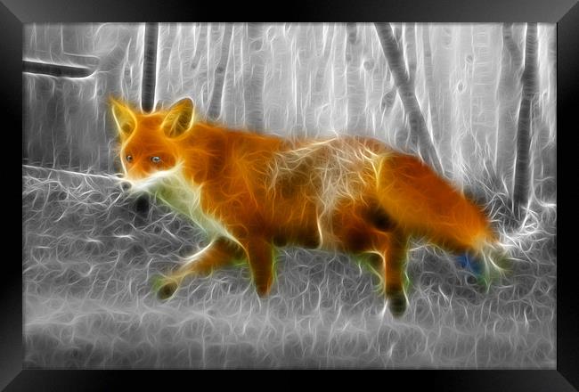 Fox Hunting Framed Print by David French