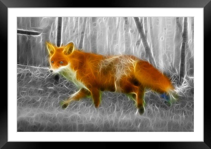 Fox Hunting Framed Mounted Print by David French