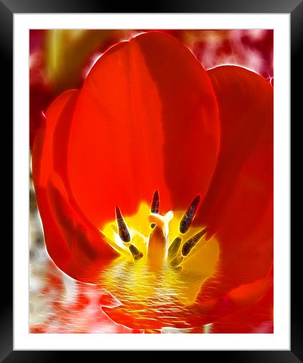Floral Digital Art Framed Mounted Print by David French
