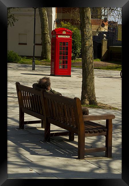 Tramp on a bench Framed Print by David French