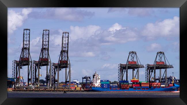 Felixstowe container docks Framed Print by David French