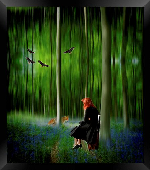 Red riding hood in Blue Bell wood   Digital art Framed Print by David French