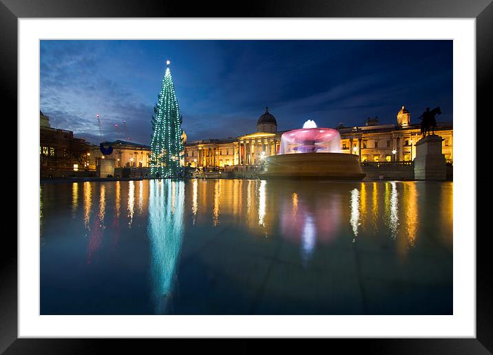 Christmas  Tree Trafalgar Square Framed Mounted Print by David French