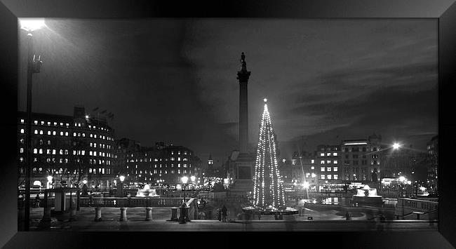 Christmas  Tree Trafalgar Square Framed Print by David French