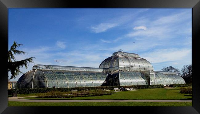 Kew'Palm House Framed Print by David French