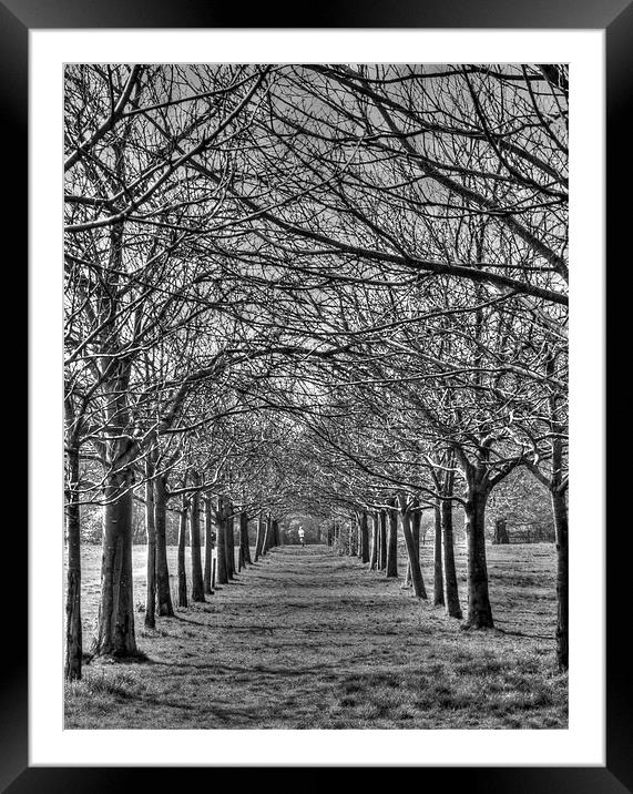Jogger in the Park Framed Mounted Print by David French
