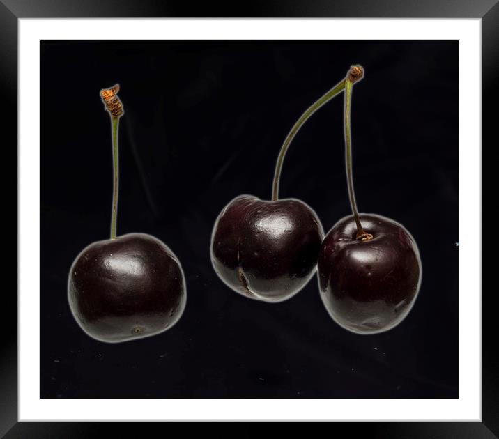 Fresh Cherries Framed Mounted Print by David French