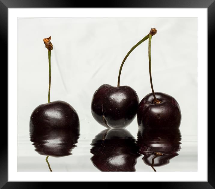 Fresh Cherries Framed Mounted Print by David French