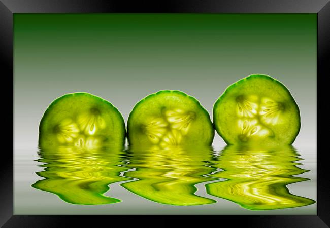 Cool as a Cucumber Slices Framed Print by David French