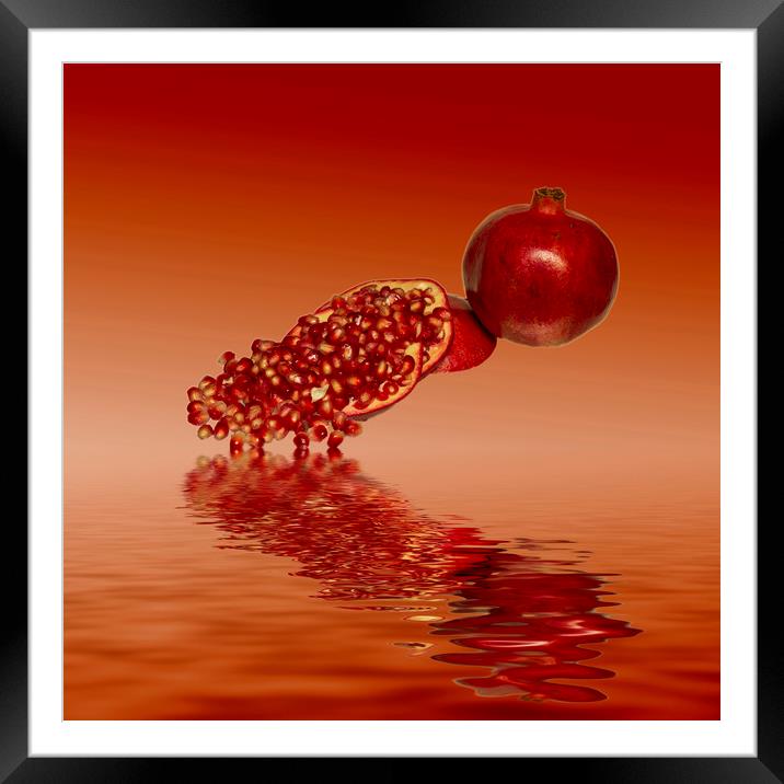 Pomegranate superfood fruit Framed Mounted Print by David French
