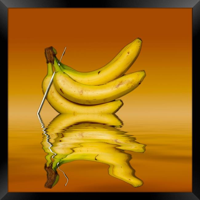 Ripe Yellow Bananas Framed Print by David French