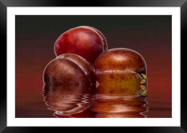 Victoria Plums Framed Mounted Print by David French