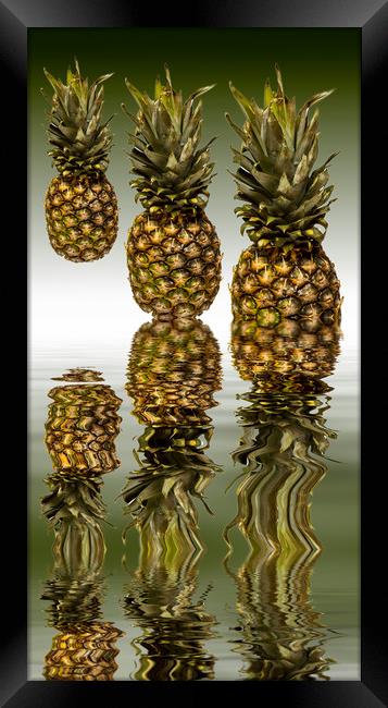 Fresh ripe pineapple fruits Framed Print by David French