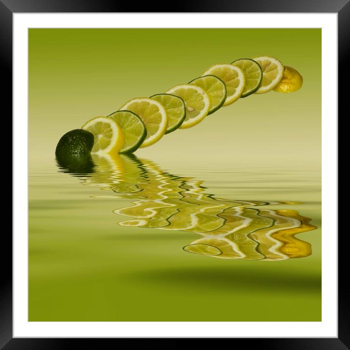 Slices Lemon Lime Citrus Fruit Framed Mounted Print by David French