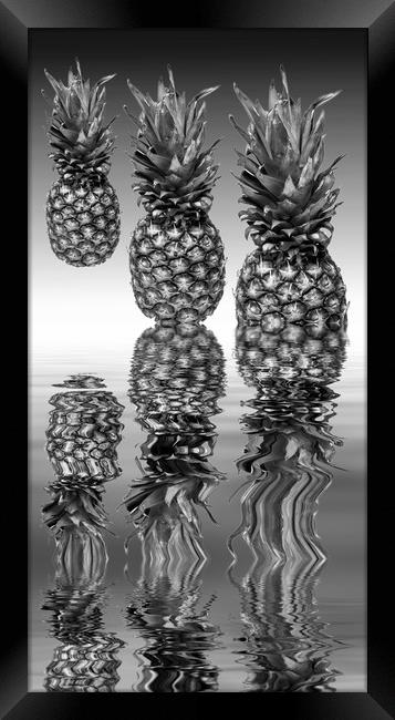 Fresh ripe pineapple fruits Framed Print by David French