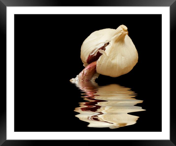 Garlic cloves of Garlic Framed Mounted Print by David French
