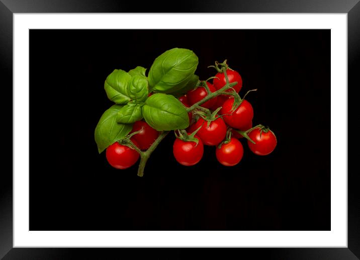 Plum Cherry Tomatoes Basil Framed Mounted Print by David French