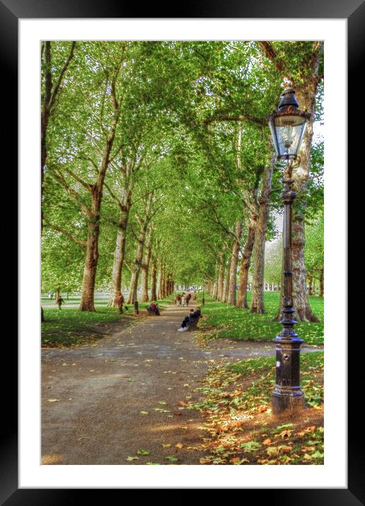 Green Park HDR and Fractilius version Framed Mounted Print by David French