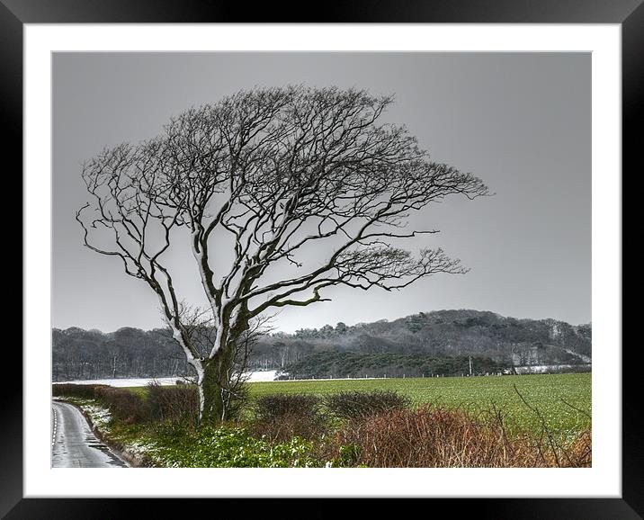 Winter Snow north Norfolk Framed Mounted Print by David French
