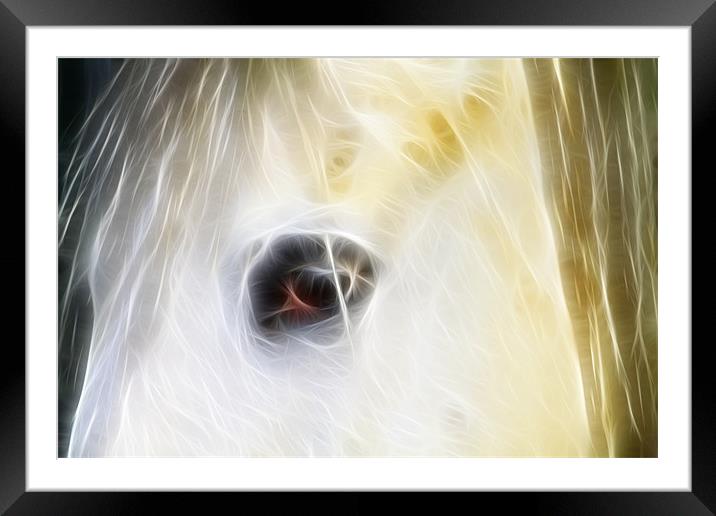 Fractal Eyes Framed Mounted Print by David French