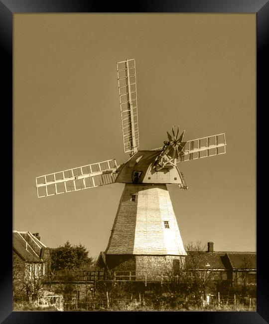 Windmill Baker Street  Orsett Thurrock Essex Sepia Framed Print by David French